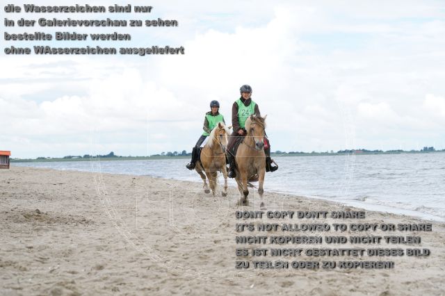 s_K3F05006.JPG